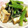たなコアラ's cooksnap of when they made 小松菜と厚揚げのナムル.