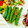 SP♪'s cooksnap of when they made 母の味☆いんげんの胡麻和え.