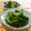 赤い電話's cooksnap of when they made きゅうりのナムル.