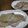 ジョングレ's cooksnap of when they made 豚ロースのネギ塩ダレ.