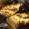 jine22's cooksnap of when they made 簡単！お玉だけ！！煮魚編.