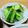 ぱんちゃん03's cooksnap of when they made 食べすぎ注意！スティックきゅうり.