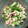 inLondon's cooksnap of when they made 大豆ときゅうりの塩麹和え.