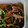 marinesno5's cooksnap of when they made 豚小間と玉ねぎの炒め物.