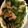 クックSHCHTZ☆'s cooksnap of when they made きゅうりとベーコンの野菜消費炒め.