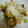 じゅんころっち's cooksnap of when they made さつまいもとしらすのごはん.