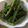 67luna's cooksnap of when they made シェフ直伝！簡単ゴーヤカレーおつまみ！.
