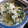 AYATORI's cooksnap of when they made 中華風ニラ茶碗蒸し.
