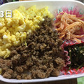 08261010's cooksnap of when they made 作り置きのハンバーグのリメイク弁当.