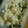 おけ～はん's cooksnap of when they made かぼちゃの皮でクッキークリーム風アイス♪.