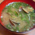 さるウサギ's cooksnap of when they made 炒めて♥♡あさり味噌汁.