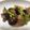 クックI6NLMD☆'s cooksnap of when they made アスパラと豚肉のあっさり生姜醤油炒め♪.