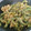 まっちょんa's cooksnap of when they made 苦くない！ゴーヤと豚のみそ炒め.