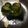 のぞみーる♩'s cooksnap of when they made ピリ辛 きゅうり 簡単 浅漬け.
