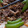 クックDM45FA☆'s cooksnap of when they made エンドウと牛肉のオイスター炒め.