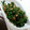 kotohime00's cooksnap of when they made 簡単★甘めのほうれん草のツナごま和え♬.