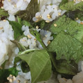sonomawari's cooksnap of when they made 青シソご飯 簡単で揚げ物にぴったり!!.