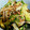 greentmt's cooksnap of when they made ささっと！なすときゅうりのめんつゆ和え.