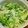 greentmt's cooksnap of when they made 大根ときゅうりの薬味サラダ【作り置き】.