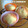ぴよこの食卓's cooksnap of when they made ★簡単ヨーグルトマフィン★.