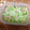 働く女子の台所's cooksnap of when they made 枝豆とツナのわさび醤油和え.
