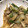 ＊あっこやん＊'s cooksnap of when they made 豚肉と玉ねぎ　しめじピーマンの肉野菜炒め.