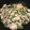 クック7AL3NC☆'s cooksnap of when they made 失敗なし‼簡単ゴーヤチャンプル.