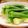 maiharunao's cooksnap of when they made 簡単かけるだけ！オクラのマリネ♪.