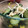 ぐーたらレシピ研究所's cooksnap of when they made さっぱり！新生姜ときゅうりの浅漬け.