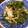卵せんべい's cooksnap of when they made おかひじきとかにかまの和え物.