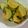 クックM1GIZX☆'s cooksnap of when they made ズッキーニとじゃがいもの梅マリネ.