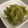☆サキママ☆'s cooksnap of when they made 簡単ゴーヤの佃煮.