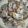 美白姫's cooksnap of when they made あさりの酒蒸.
