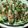 まあこmm's cooksnap of when they made 簡単肉巻きおつまみ.