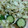 tamakichi5's cooksnap of when they made ■家庭で簡単お漬物！浅漬け用の漬け汁■.