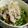 はらやす's cooksnap of when they made お昼にパパっと☆ごま油香るのりねぎうどん.