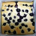 おやんず's cooksnap of when they made ブルーベリーベイクドチーズケーキ.