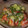 はやかえ3's cooksnap of when they made トマトとキュウリとしらす干しのサラダ.