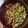 そめさん堂's cooksnap of when they made とうがんと牛バラのすき煮.