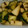 makichaki's cooksnap of when they made 簡単!!!きゅうりと塩昆布の和え物.