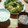 メリッサ＊'s cooksnap of when they made 簡単、さっぱり焼きナス.