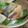 amanusa's cooksnap of when they made 鮭と小松菜のオーブン焼き.