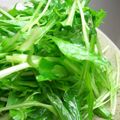  さくらのキッチン's cooksnap of when they made 和えるだけ♪水菜のナムル.