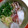 ψ苗ψ's cooksnap of when they made 塩鯖とすだちのおろしうどん.