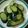 リトル黒豆マーメイド's cooksnap of when they made 誰でも☆やみつき～ポリポリ！きゅうり.