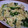 ゴースカ's cooksnap of when they made ベーコンとほうれん草と卵のバター炒め.