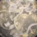 ma___111's cooksnap of when they made 簡単玉ねぎスープ！二日酔いにも！.