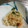 ダッフィとメイのママ's cooksnap of when they made 大葉でさっぱり大根と鮭缶のサラダ♥簡単☆.