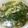 クックEKELXT☆'s cooksnap of when they made 豚ゆで汁で簡単ほうれん草のコンソメスープ.