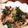 クックWSPX1I☆'s cooksnap of when they made ビールに合う♪砂肝と空芯菜シャキッと炒め.